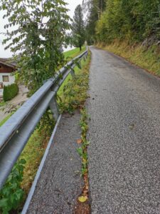 IMG_20240928_100842